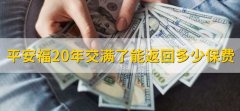 平安福20年交满了能返回多少保费，不返保费