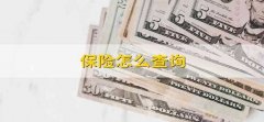 保险怎么查询 保险怎样查询