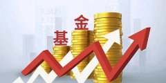 混合基金跟指数基金的区别?混合型基金的风险大吗?