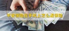 平安保险在手机上怎么退保险，有以下两步