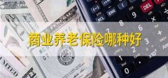 商业养老保险哪种好 哪种商业养老保险好