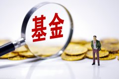 什么是货币基金和指数基金（货币基金和指数基金哪个更安全）