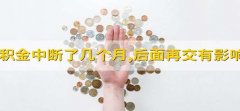 公积金中断了几个月,后面再交有影响吗 不会有影响