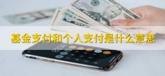 基金支付和个人支付是什么意思，有以下两点