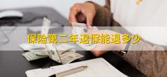 保险第二年退保能退多少