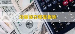 浙丽保在哪里报销，在购买平台报销