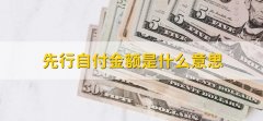 先行自付金额是什么意思，医保自付和自费有什