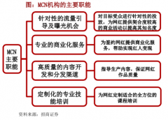 mcn机构是什么意思（MCN机构的过去、现状、未来详解）