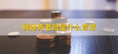 税延养老险是什么意思，养老储蓄保险产品