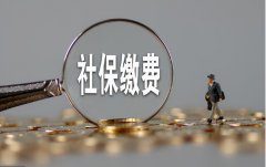 社保可以退吗（社保费能退的4种情况）