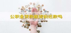 公积金贷款能提前还款吗