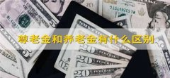 尊老金和养老金有什么区别