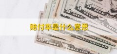 赔付率是什么意思，赔款支出与保费收入的百分比