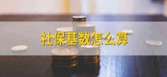 社保基数怎么算 社保基数计算