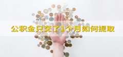 公积金只交了1个月如何提取 需要满足一定条件