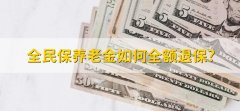 全民保养老金如何全额退保，有以下三点