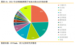 龙头增速超40倍！全球储能锂电池出货量再创新高