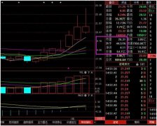 换手率高说明什么（换手率高于20%以上意味着什么）