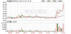 华宝股份解析（华宝股份股东户数增加3.93%详解）