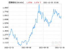 001404基金怎么样（招商移动互联网产业股票净值上涨3.07%）