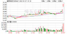 雄帝科技最新解析（雄帝科技股东户数增加169.83%详解）