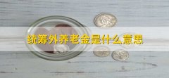 统筹外养老金是什么意思，个人养老金如何缴纳