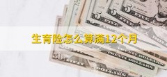 生育险怎么算满12个月，从交生育险的第一个月开始算