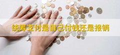 统筹支付是自己付钱还是报销，视情况而定