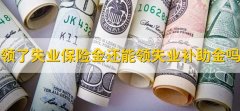 领了失业保险金还可以领失业补助金吗，不可以