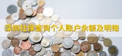 深圳社保查询个人账户余额及明细，怎么查