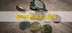 揭阳市民保怎么投保，有以下七个步骤