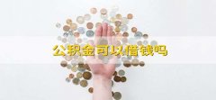 公积金可以借钱吗