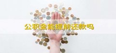 公积金能提前还款吗 公积金能不能提前还呢