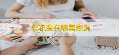 公积金在哪里查询，有以下六种方法