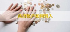 共济账户如何转入，进入医保服务平台操作就可以