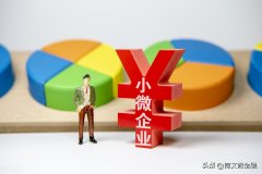 企业小额贷款怎么做（小微企业贷款有哪些特点）