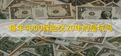 每年4000保险交20年的是坑吗，需结合自身状况判断