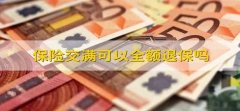 保险交满可以全额退保吗