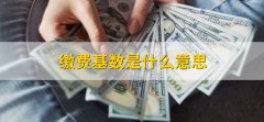 缴费基数是什么意思，缴纳社会保险的基本基数